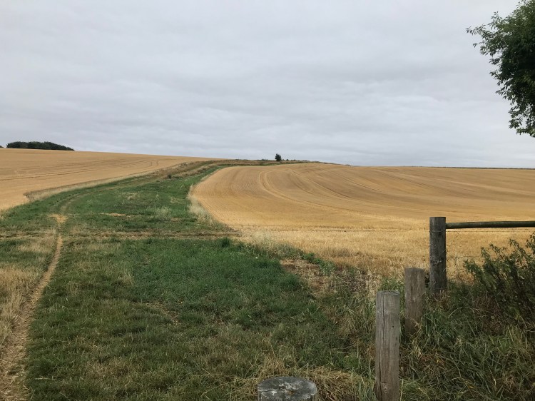 1D6DD05F-923B-4D14-A062-E2B83497E80F